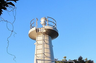 IMG_7229