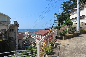 IMG_0987