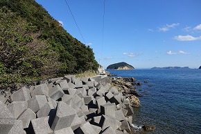DSC00911