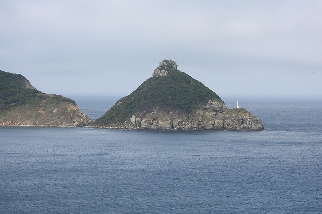 DSCN9159