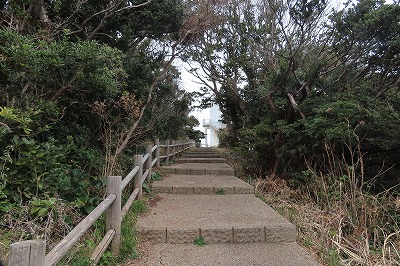 IMG_5798