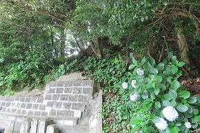 IMG_0575