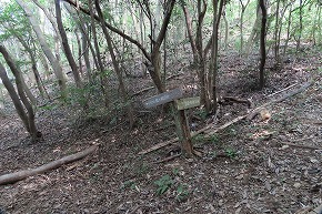 IMG_0903