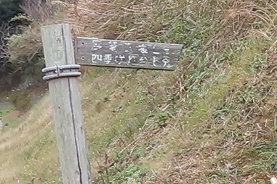 IMG_5592 (1)