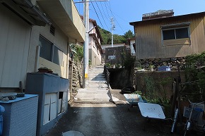 IMG_0985
