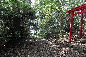 IMG_9260