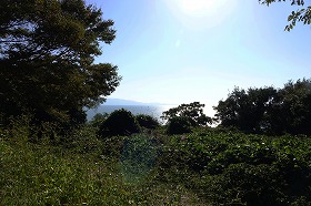DSC04371
