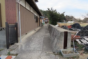 IMG_5916