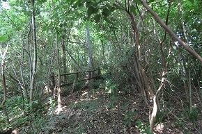 IMG_0911
