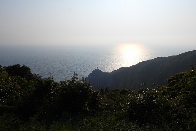 DSCN8706