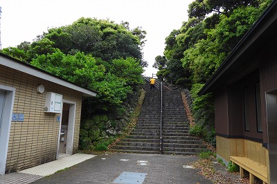 DSCN8699