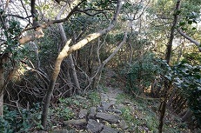 dsc08925
