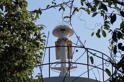 IMG_0585