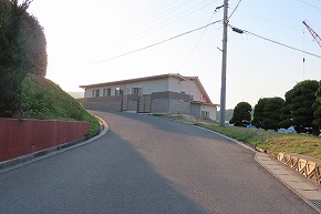 IMG_0246