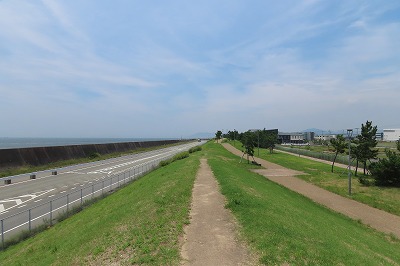 IMG_0539
