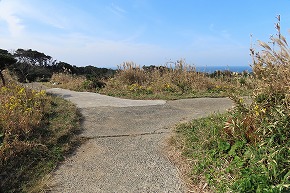 IMG_9369