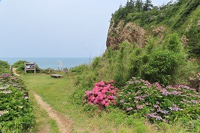 IMG_0505
