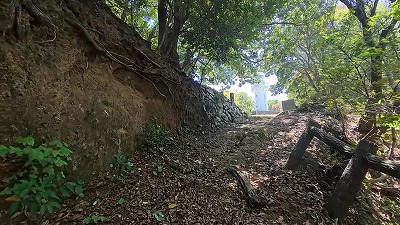 Snapshot_23