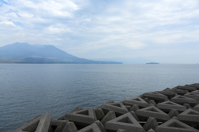 DSCN9821