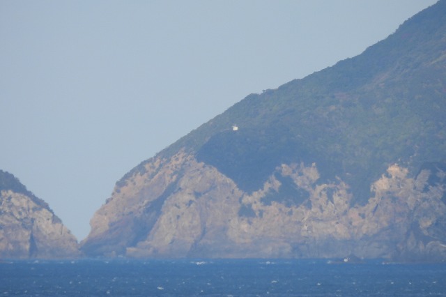 DSCN1246