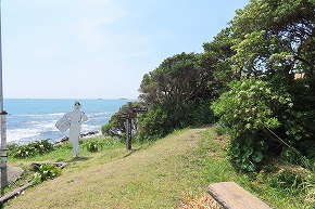 IMG_9225