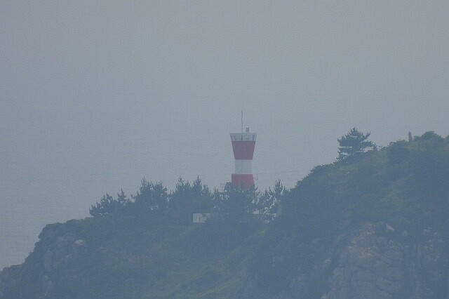 DSCN3541