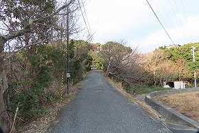 IMG_5919