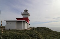 IMG_1290