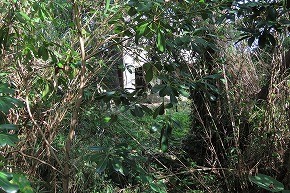 IMG_9132