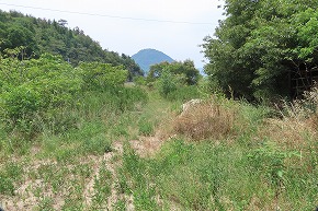 IMG_0426