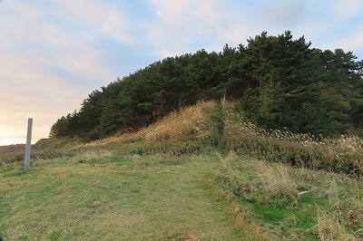 IMG_4509