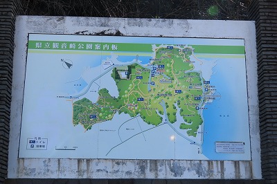 IMG_0249