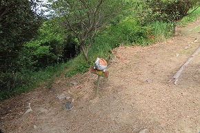 IMG_0087