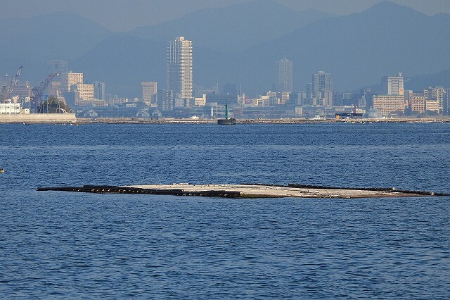 DSCN0760