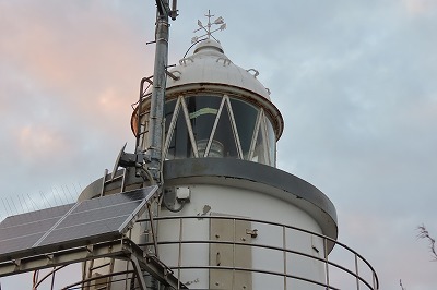 IMG_4530