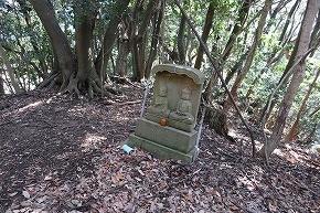 IMG_6120