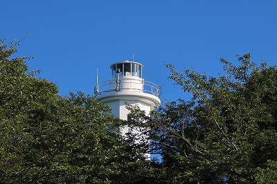 IMG_0881