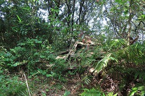 IMG_0958