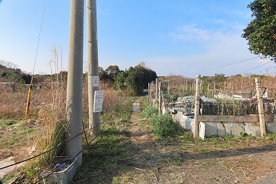 IMG_0702