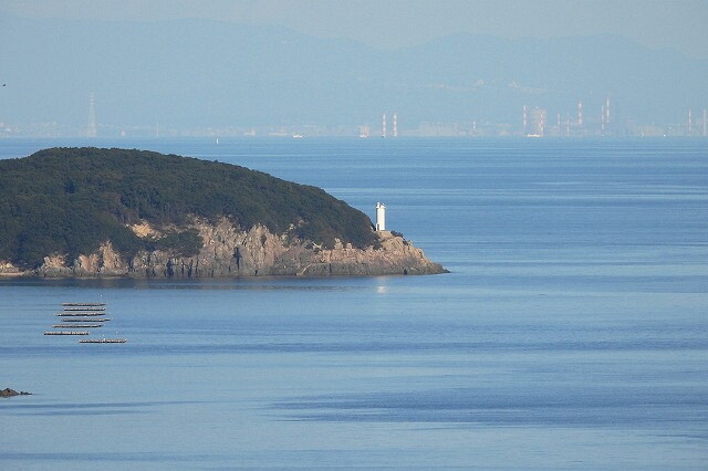 DSCN8499
