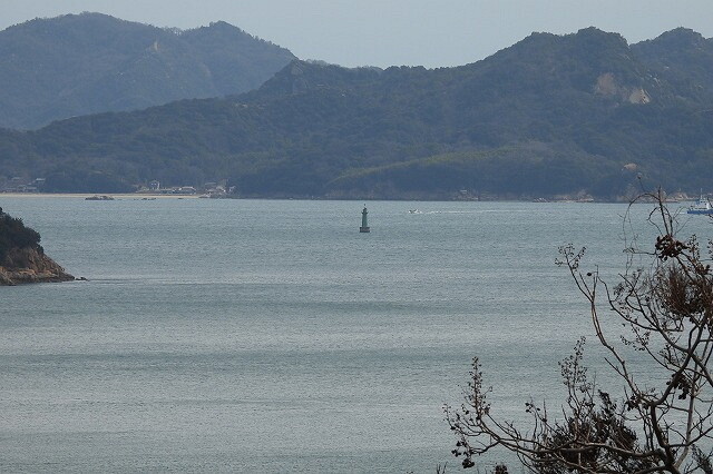 DSCN2173