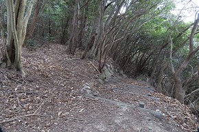 IMG_5926