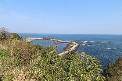 IMG_6028