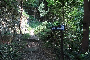 IMG_0992