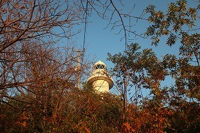 IMG_1155