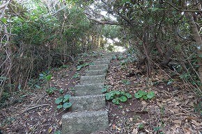 IMG_9224