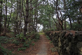 IMG_9406