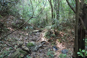IMG_0893