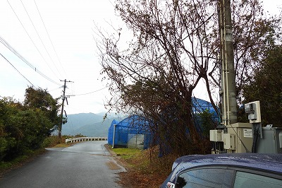 DSCN4538