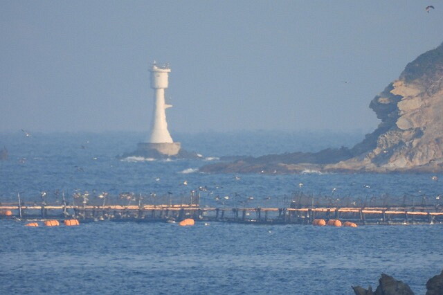 DSCN6170